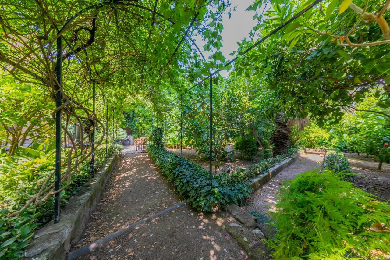 Villa Mezzarancia Palermo Kültér fotó